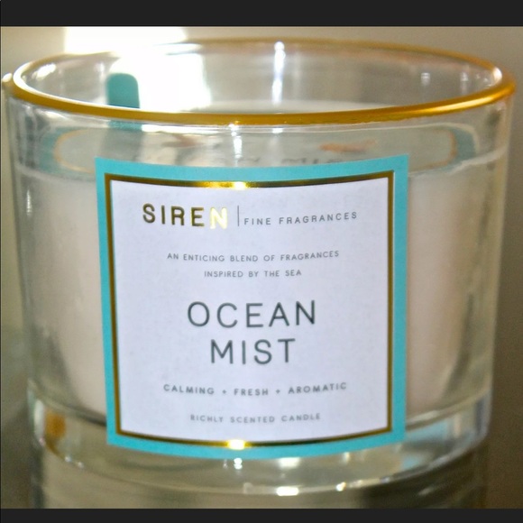 DW HOME CANDLE OCEAN MIST RICHLY SCENTED NEW 2 WICK - Picture 2 of 3